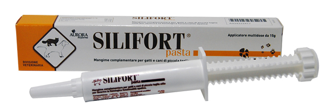 SILIFORT PASTA OS SIRINGA 15 G - Farmacia De Pasquale