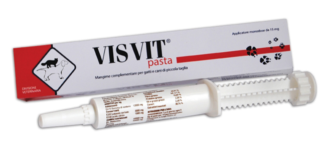 VISVIT PASTA OS SIRINGA 15 G - Farmacia De Pasquale