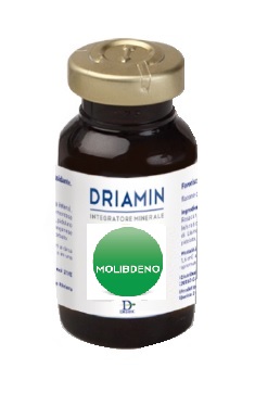 DRIAMIN MOLIBDENO 10 FLACONCINI 15 ML - Farmacia De Pasquale