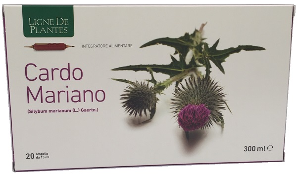 CARDO MARIANO 20 AMPOLLE BEVIBILI DA 15 ML - Farmacia De Pasquale