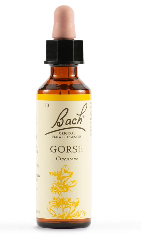 GORSE BACH ORIG 20 ML - Farmacia De Pasquale