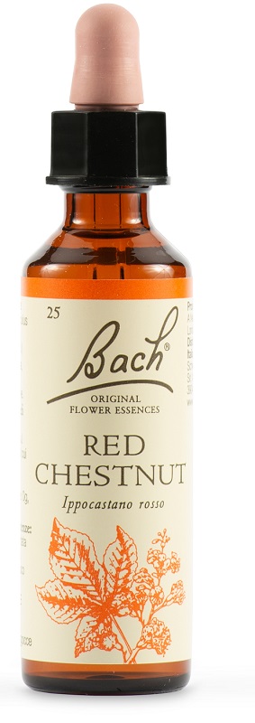 RED CHESTNUT BACH ORIG 20 ML - Farmacia De Pasquale