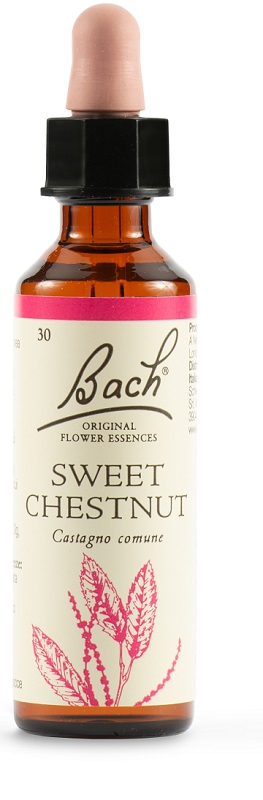 SWEET CHEST BACH ORIG 20 ML - Farmacia De Pasquale