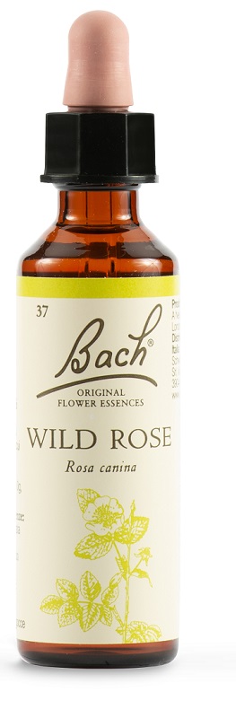 WILD ROSE BACH ORIG 20 ML - Farmacia De Pasquale