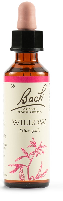 WILLOW BACH ORIG 20 ML - Farmacia De Pasquale
