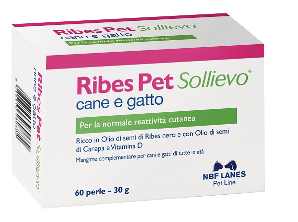 RIBES PET SOLLIEVO BLISTER 60 PERLE - Farmacia De Pasquale