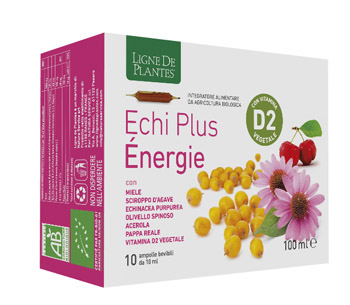 ECHI PLUS ENERGIE 10 AMPOLLE DA 10 ML - Farmacia De Pasquale