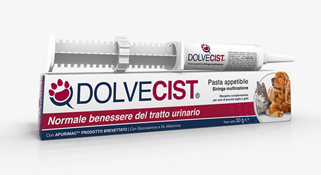 DOLVECIST PASTA SIRINGA 30 G - Farmacia De Pasquale