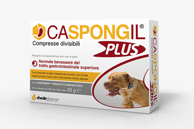CASPONGIL PLUS 30 COMPRESSE - Farmacia De Pasquale