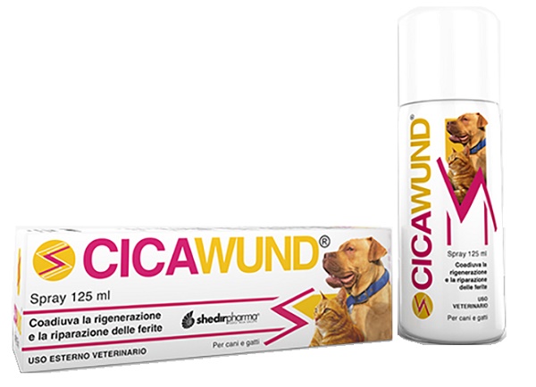 CICAWUND SPRAY 125 ML - Farmacia De Pasquale