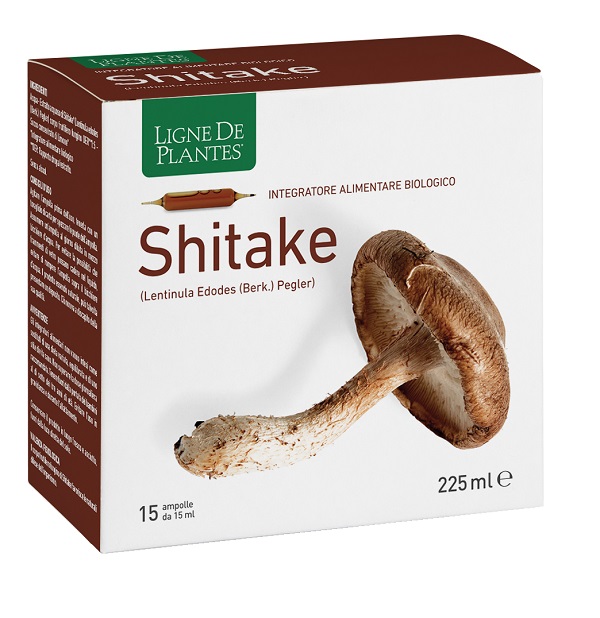 LIGNE DE PLANTES SHITAKE BIO 15 AMPOLLE DA 15 ML - Farmacia De Pasquale
