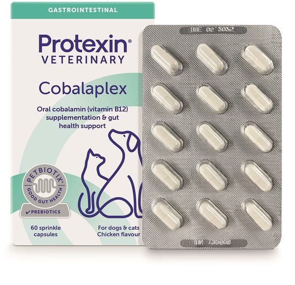 COBALAPLEX 60 CAPSULE - Farmacia De Pasquale