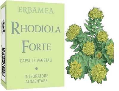 RHODIOLA FORTE 24 CAPSULE - Farmacia De Pasquale