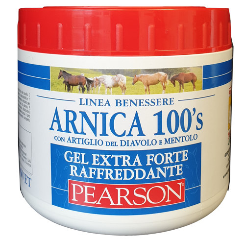ARNICA 100'S EXTRA FORTE 500 ML - Farmacia De Pasquale