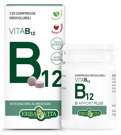 B APPORT VITAMINA B12 120 COMPRESSE OROSOLUBILI - Farmacia De Pasquale