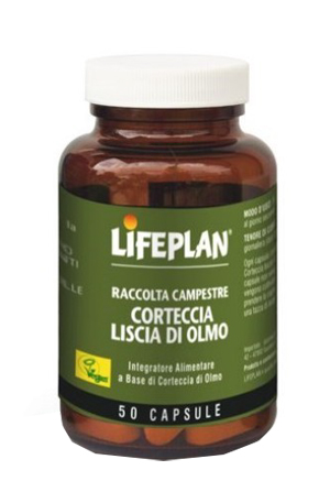 CORTECCIA LISCIA DI OLMO 50 CAPSULE - Farmacia De Pasquale