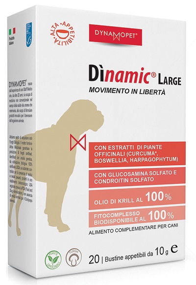DINAMIC LARGE 20 BUSTINE 10 G - Farmacia De Pasquale