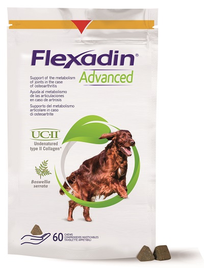 FLEXADIN ADVANCED CANE TUTTE LE TAGLIE 60 TAVOLETTE APPETIBILI - Farmacia De Pasquale