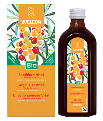 OLIVELLO SPINOSO VITAL SUCCO DI FRUTTA 250 ML - Farmacia De Pasquale
