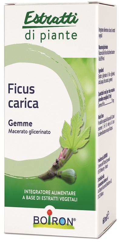 FICUS CARICA BOIRON MACERATO GLICERICO 60 ML - Farmacia De Pasquale