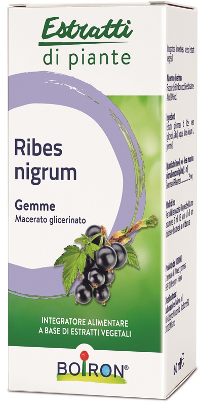 RIBES NIGRUM BOIRON MACERATO GLICERICO 60 ML - Farmacia De Pasquale