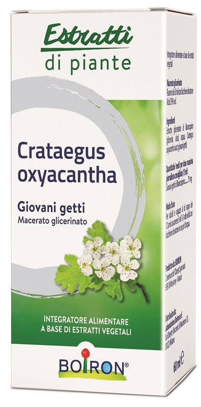 CRATAEGUS BOIRON MACERATO GLICERICO 60 ML - Farmacia De Pasquale
