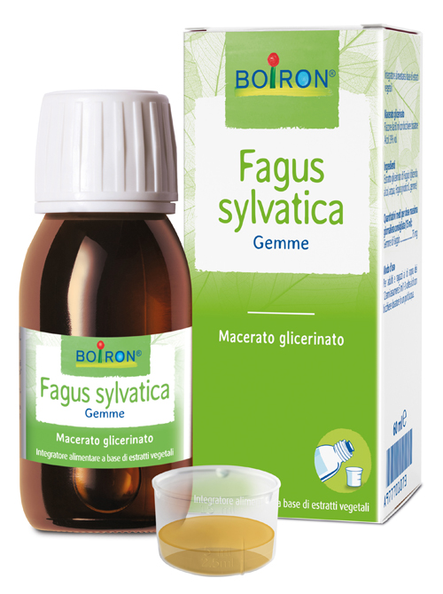 FAGUS SYLVATICA BOIRON MACERATO GLICERICO 60 ML - Farmacia De Pasquale