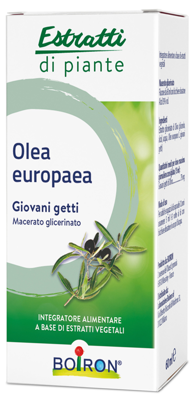 OLEA EUROPAEA BOIRON MACERATO GLICERICO 60 ML - Farmacia De Pasquale