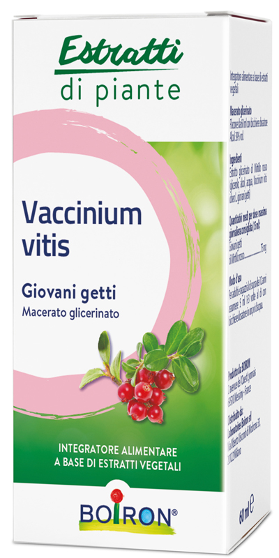 VACCINIUM VITIS MACERATO GLICERICO 60 ML - Farmacia De Pasquale