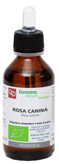ROSA CANINA MACERATO GLICERICO 100 ML BIO - Farmacia De Pasquale