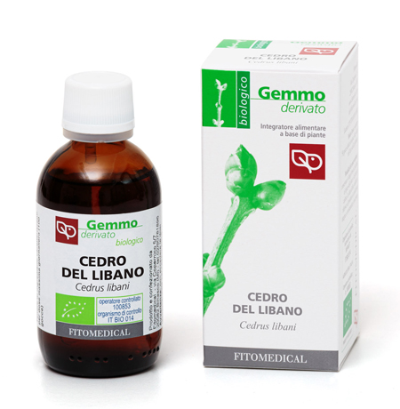 CEDRO DEL LIBANO MACERATO GLICERICO 50 ML BIO - Farmacia De Pasquale