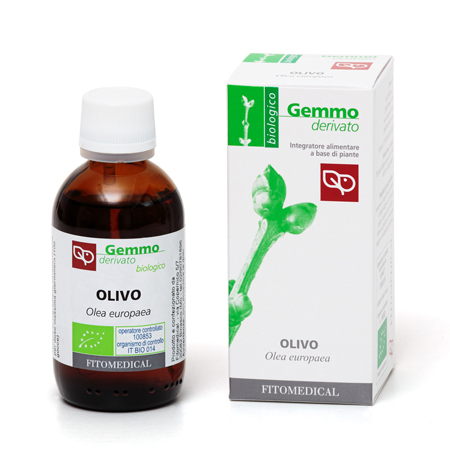 OLIVO MACERATO GLICERICO 50 ML BIO - Farmacia De Pasquale