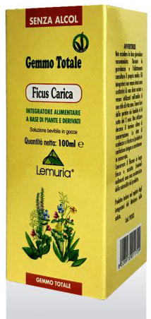 FICUS CARICA 100 ML - Farmacia De Pasquale
