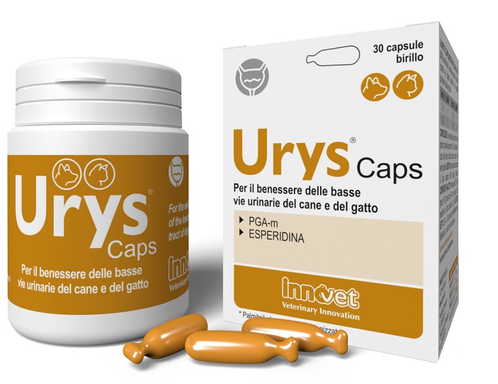 URYS CAPS 30 CAPSULE - Farmacia De Pasquale