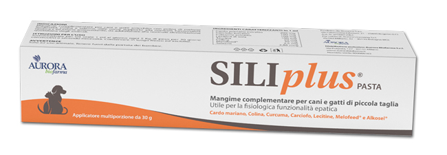 SILIPLUS PASTA 30 G - Farmacia De Pasquale